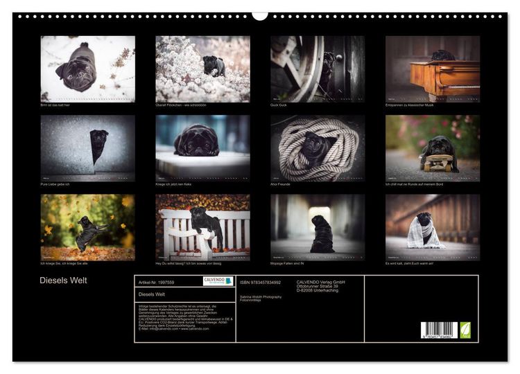 Produktbild: Diesels Welt (Wandkalender 2026 DIN A2 quer), CALVENDO Monatskalender