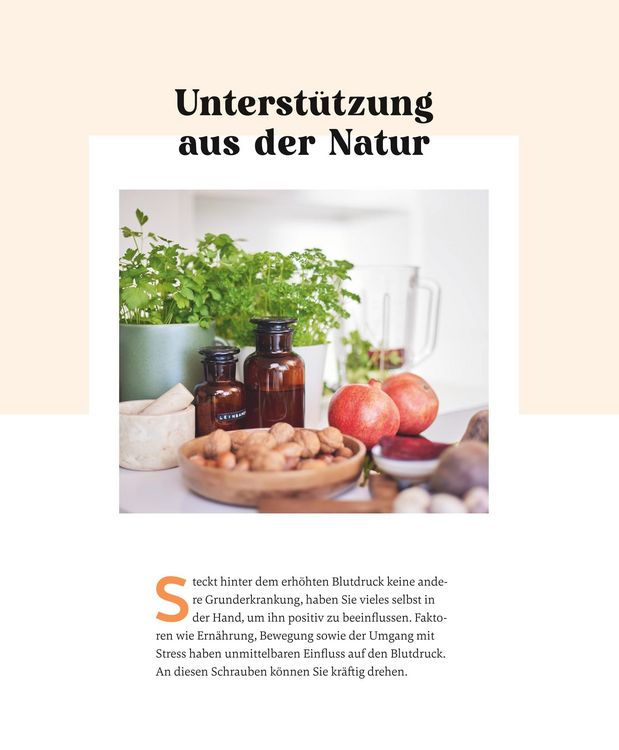 Produktbild: Meine Gesundheitsretter aus der Natur gegen Bluthochdruck