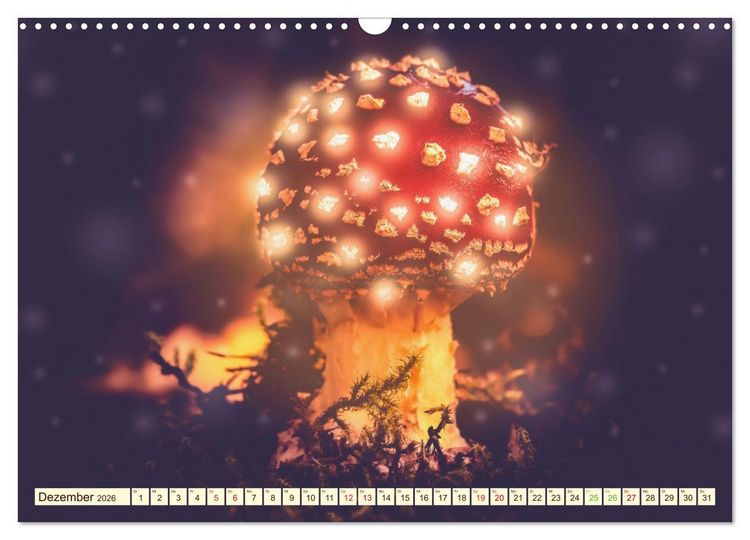 Produktbild: Die Welt der Fliegenpilze (Wandkalender 2026 DIN A3 quer), CALVENDO Monatskalender