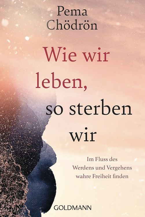 Produktbild: Wie wir leben, so sterben wir