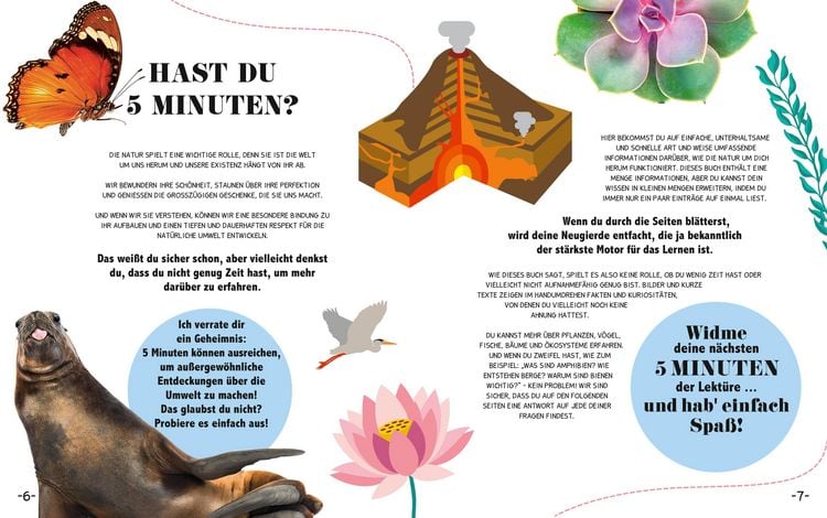 Produktbild: 5-Minuten-Lernen Natur