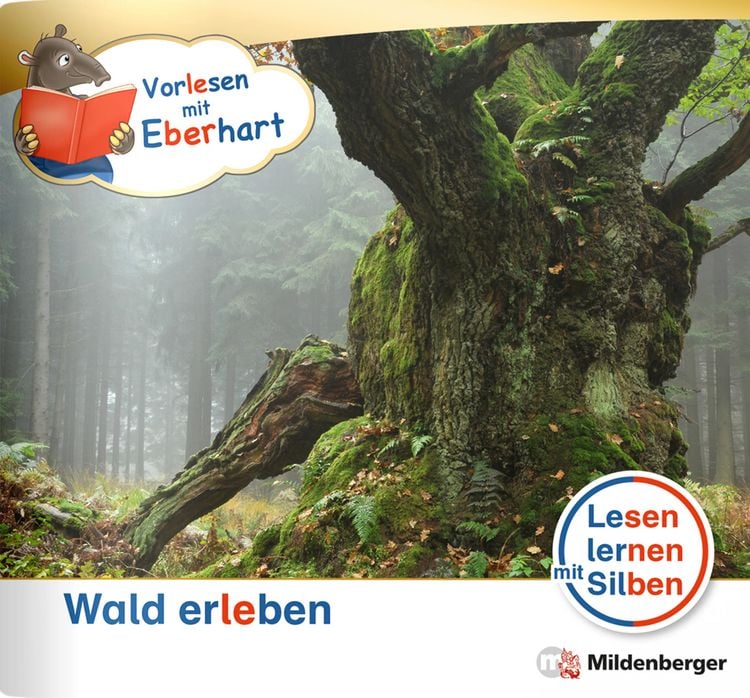 Produktbild: Vorlesen mit Eberhart &ndash; Wald erleben &ndash; Nachbezug Einzelheft