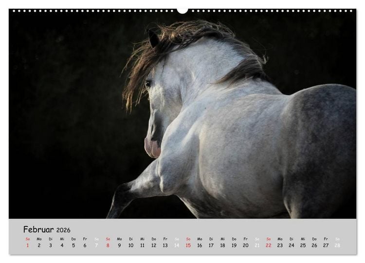 Produktbild: Pferde - Anmut und St&auml;rke gepaart mit Magie (Wandkalender 2026 DIN A2 quer), CALVENDO Monatskalender