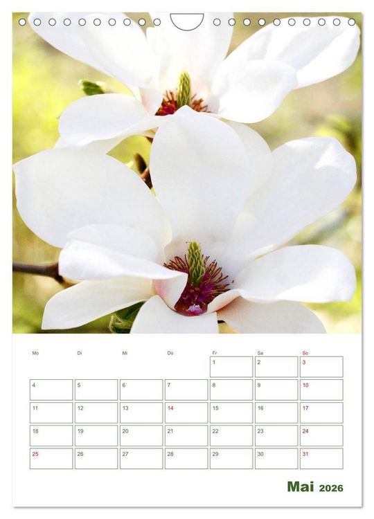 Produktbild: Wei&szlig;e Bl&uuml;ten im Gr&uuml;nen (Wandkalender 2026 DIN A4 hoch), CALVENDO Monatskalender