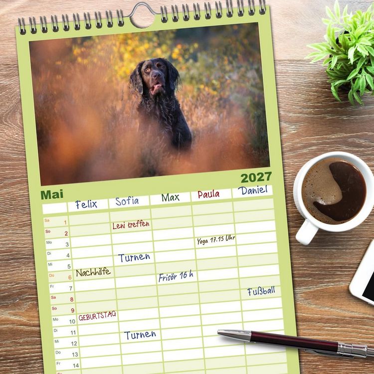Produktbild: Familienplaner 2027 - Jagdhund im Portrait - Deutsch Langhaar mit 5 Spalten (Wandkalender, 21 x 45 cm) CALVENDO