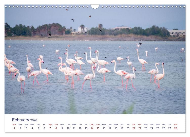 Produktbild: Kos Island - The Island of Hippocrates (Wall Calendar 2026 DIN A3 landscape), CALVENDO 12 Month Wall Calendar