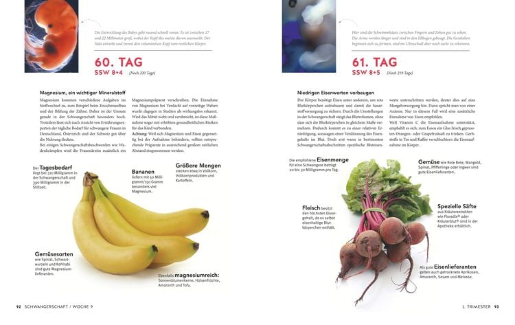 Tag für Tag durch meine Schwangerschaft