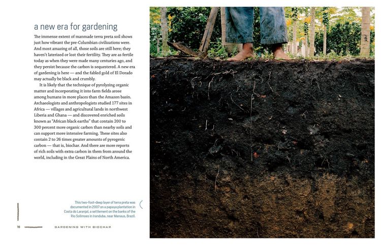 Produktbild: Gardening with Biochar
