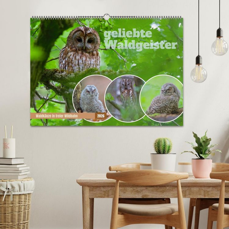 Produktbild: geliebte Waldgeister (Wandkalender 2026 DIN A2 quer), CALVENDO Monatskalender