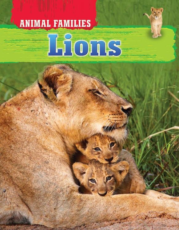 Produktbild: Lions