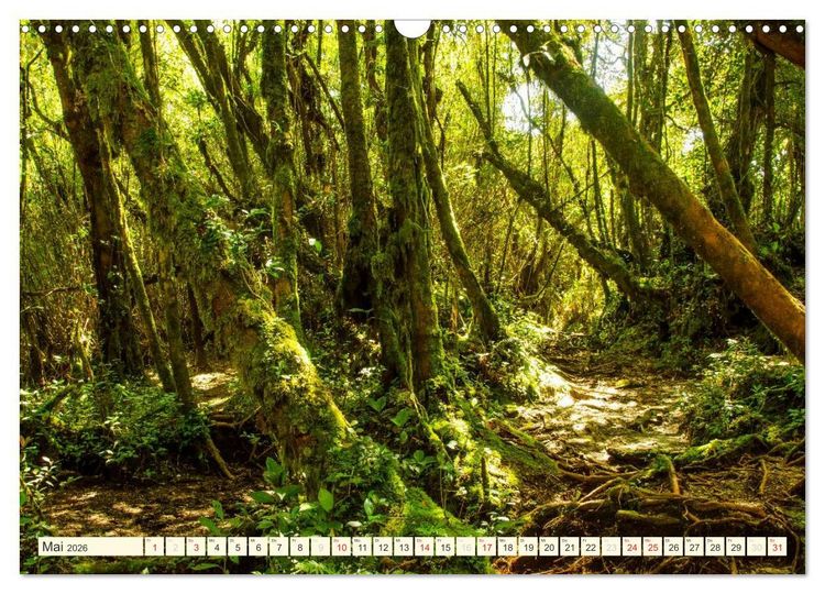 Produktbild: Unterwegs in Malaysia (Wandkalender 2026 DIN A3 quer), CALVENDO Monatskalender