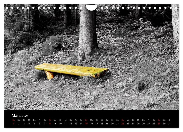 Produktbild: Farbtupfer (Wandkalender 2026 DIN A4 quer), CALVENDO Monatskalender