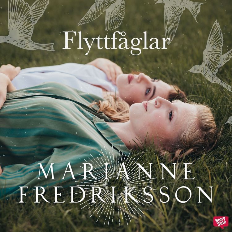 Produktbild: Flyttf&aring;glar