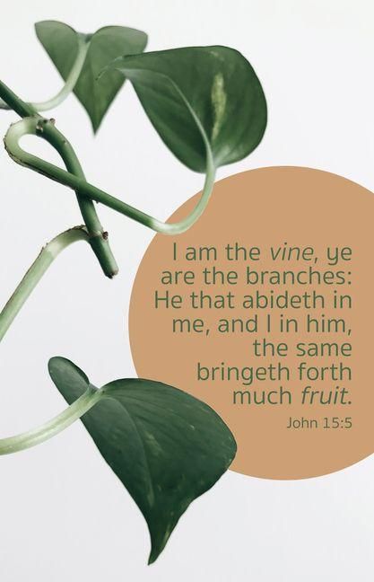 Produktbild: General Worship Bulletin: Much Fruit (Package of 100)
