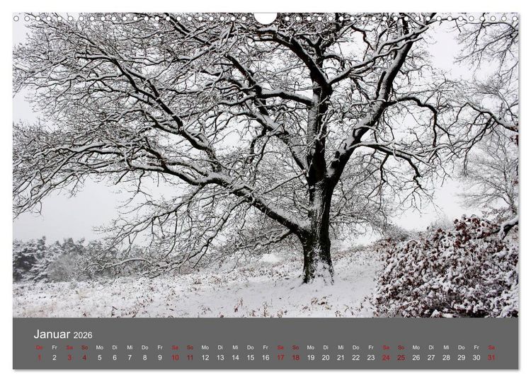 Produktbild: Wahner Heide - Aussichten und Begegnungen (Wandkalender 2026 DIN A3 quer), CALVENDO Monatskalender