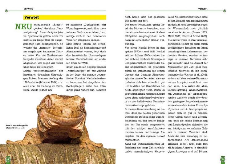 Produktbild: S&uuml;dlicher und N&ouml;rdlicher Flechtengecko