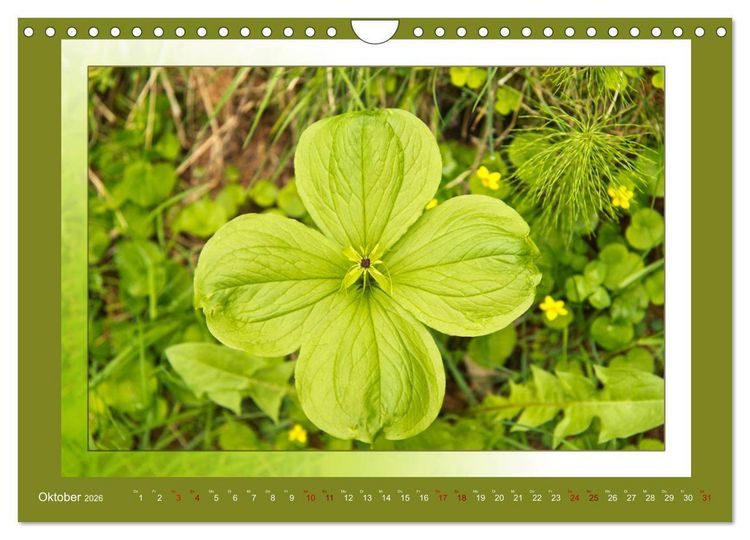 Produktbild: Das vergessene Tal. Schnalstal - Val Senales (Wandkalender 2026 DIN A4 quer), CALVENDO Monatskalender