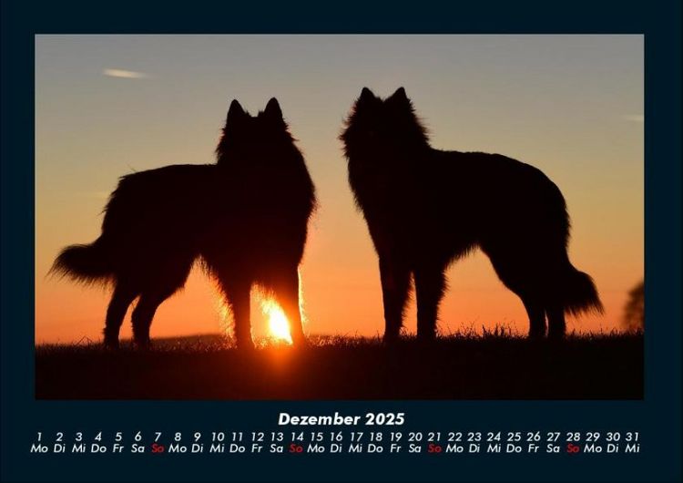 Produktbild: Hundezauber 2025 Fotokalender DIN A4