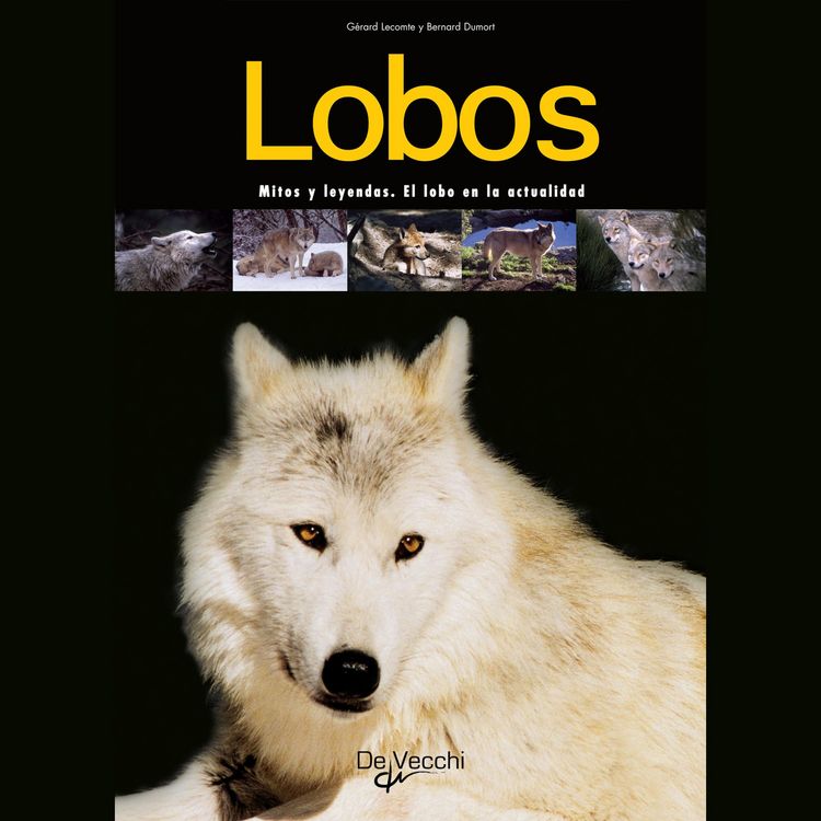 Produktbild: Lobos. Mitos y leyendas. El lobo en la actualidad