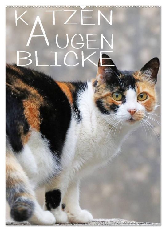 Produktbild: KATZEN AUGEN BLICKE (Wandkalender 2026 DIN A2 hoch), CALVENDO Monatskalender