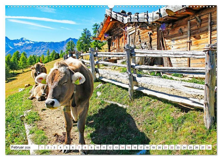 Produktbild: Almen im S&uuml;dtiroler Ultental (hochwertiger Premium Wandkalender 2026 DIN A2 quer), Kunstdruck in Hochglanz