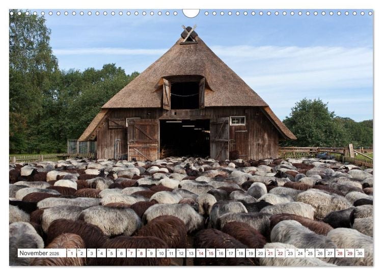 Produktbild: Die L&uuml;neburger Heide - Ausflugsziel im Norden (Wandkalender 2026 DIN A3 quer), CALVENDO Monatskalender