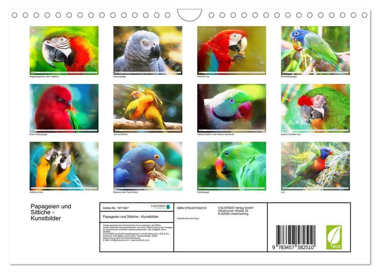 Produktbild: Papageien und Sittiche - Kunstbilder (Wandkalender 2026 DIN A4 quer), CALVENDO Monatskalender
