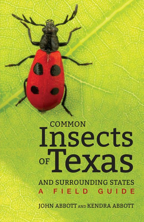 Produktbild: Common Insects of Texas and Surrounding States