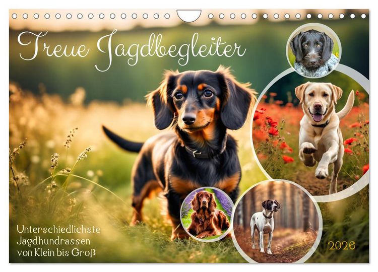 Produktbild: Treue Jagdbegleiter (Wandkalender 2026 DIN A4 quer), CALVENDO Monatskalender