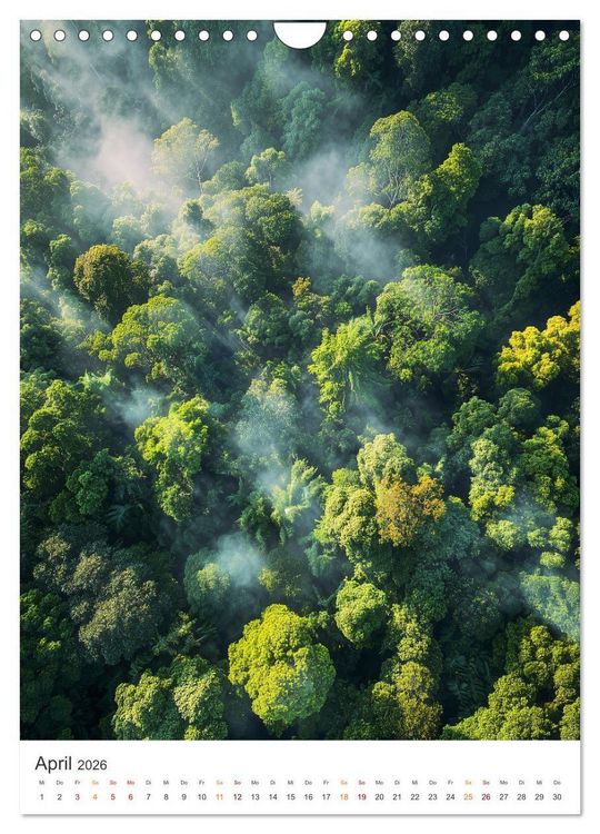 Produktbild: Magie der Natur (Wandkalender 2026 DIN A4 hoch), CALVENDO Monatskalender
