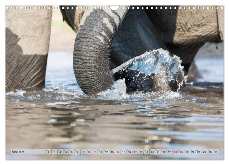 Produktbild: Elefanten - Sanfte Riesen Afrikas (Wandkalender 2026 DIN A3 quer), CALVENDO Monatskalender