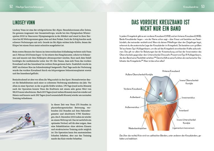 Produktbild: Back in the game &ndash; dein Programm f&uuml;r den optimalen Wiedereinstieg