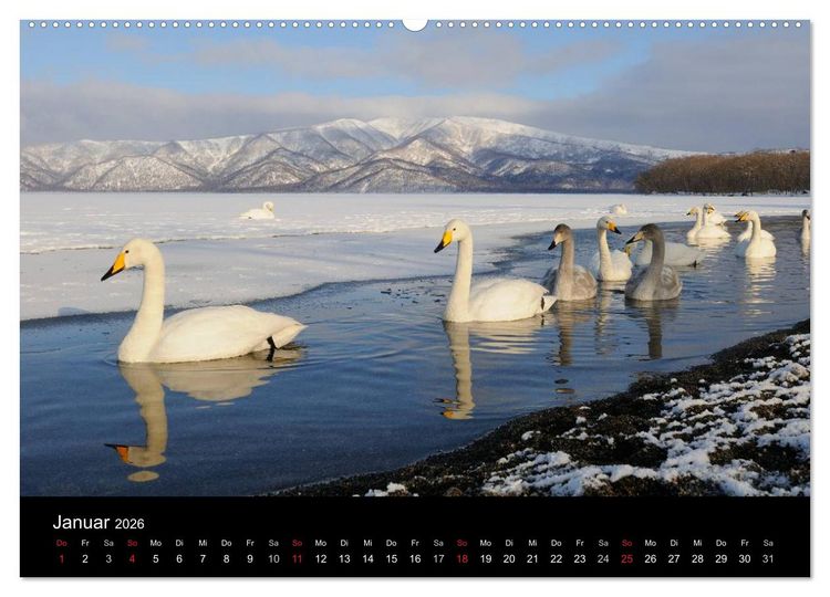 Produktbild: V&ouml;gel & Landschaften (Wandkalender 2026 DIN A2 quer), CALVENDO Monatskalender