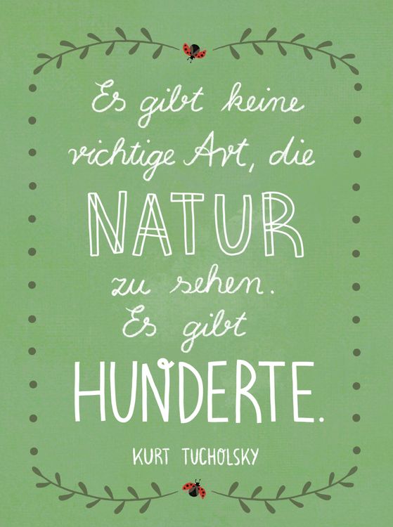 Produktbild: Lebe wild und voller Wunder