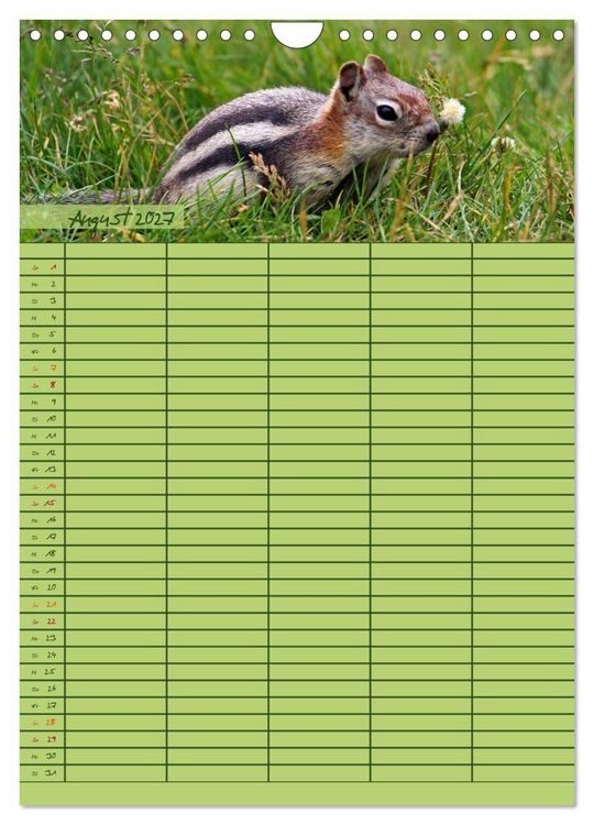 Produktbild: Tierischer Familienplaner (Wandkalender 2027 DIN A4 hoch), CALVENDO Monatskalender