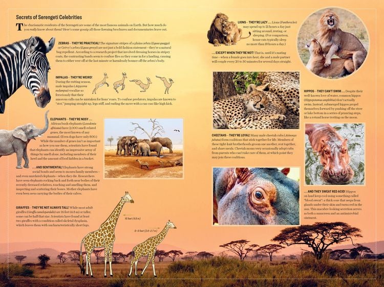 Produktbild: Atlas Obscura: Wild Life