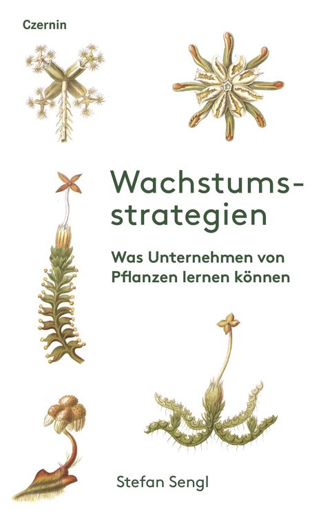 Produktbild: Wachstumsstrategien