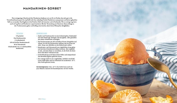 Produktbild: Die vegane Eis-Bibel