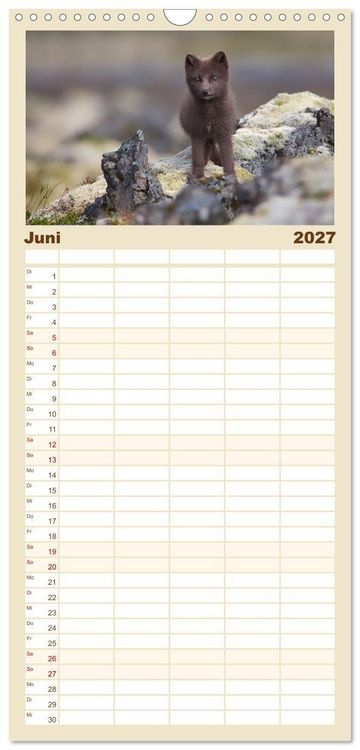 Produktbild: Familienplaner 2027 - Polarfuchs-Welpen mit 5 Spalten (Wandkalender, 21 x 45 cm) CALVENDO