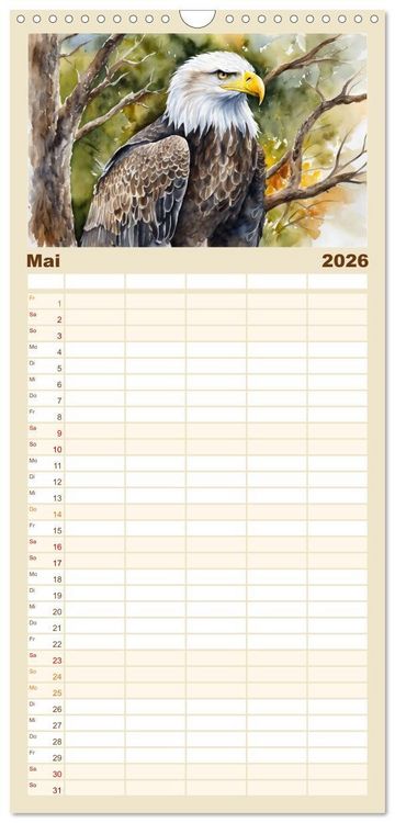 Produktbild: Familienplaner 2026 - Wei&szlig;kopfseeadler - Majest&auml;tische V&ouml;gel mit 5 Spalten (Wandkalender, 21 x 45 cm) CALVENDO