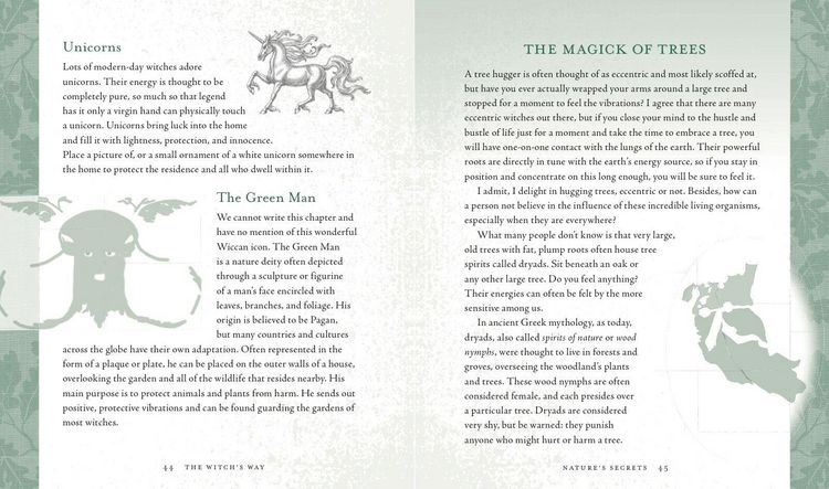 Produktbild: The Witch's Way
