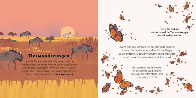 Produktbild: Wo wandern die Tiere hin?