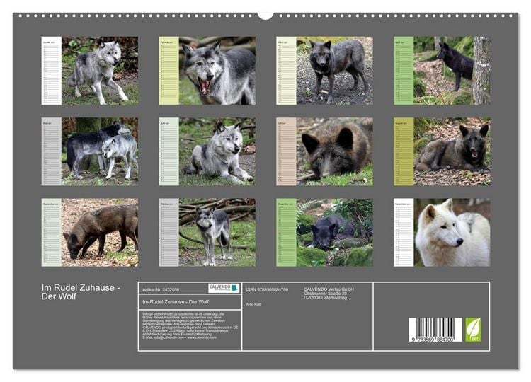 Produktbild: Im Rudel Zuhause - Der Wolf (hochwertiger Premium Wandkalender 2027 DIN A2 quer), Kunstdruck in Hochglanz