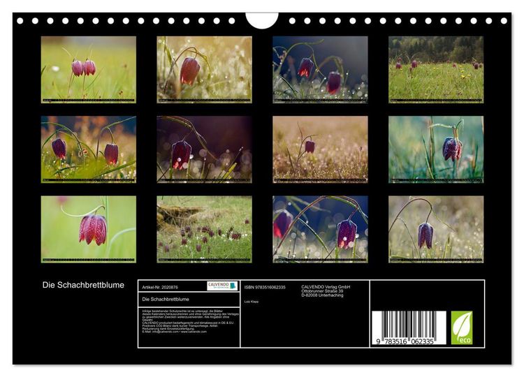 Produktbild: Die Schachbrettblume (Wandkalender 2026 DIN A4 quer), CALVENDO Monatskalender