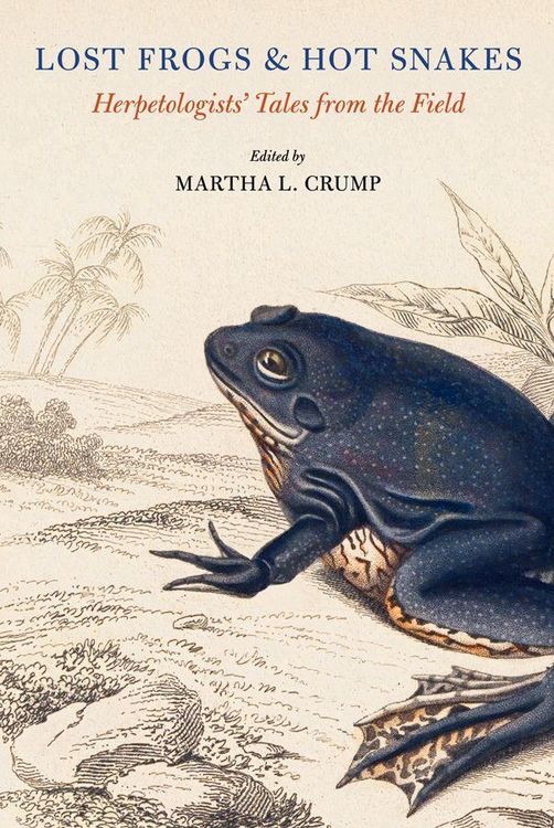 Produktbild: Lost Frogs and Hot Snakes