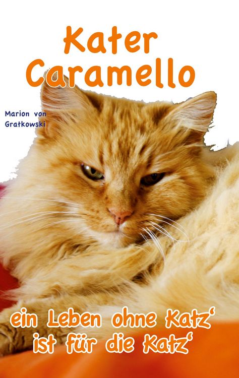 Produktbild: Kater Caramello - ein Leben ohne Katz' ist f&uuml;r die Katz'