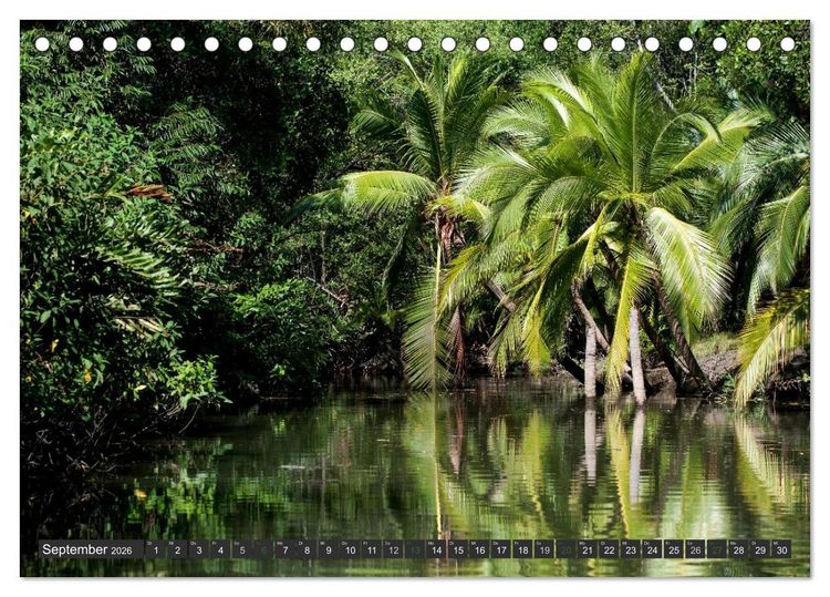 Produktbild: COSTA RICA - PURA VIDA (Tischkalender 2026 DIN A5 quer), CALVENDO Monatskalender
