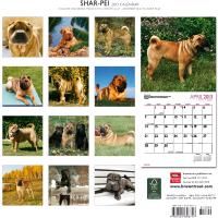 Produktbild: Shar Pei 2013