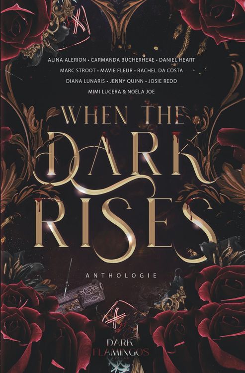 Produktbild: When the Dark Rises