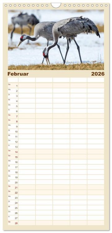 Produktbild: Familienplaner 2026 - Mit Kranichen durch das Jahr mit 5 Spalten (Wandkalender, 21 x 45 cm) CALVENDO
